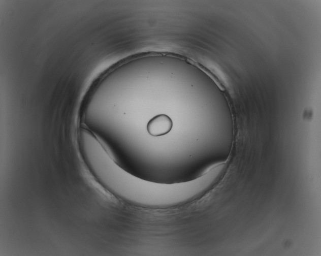 X0000094911080200712131447