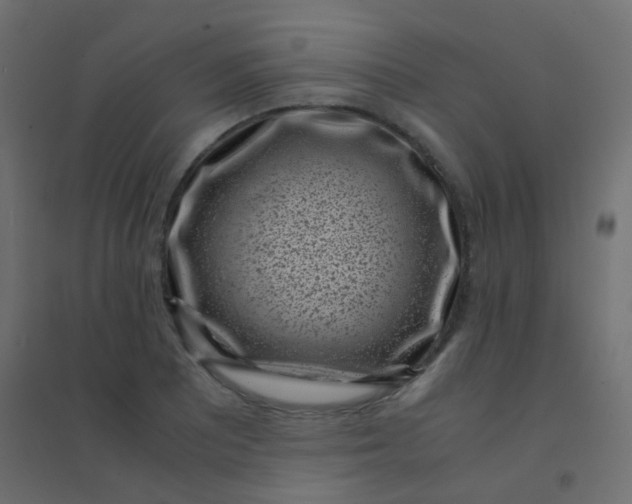 X0000094911081200712131447