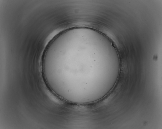 X0000094911082200712131447