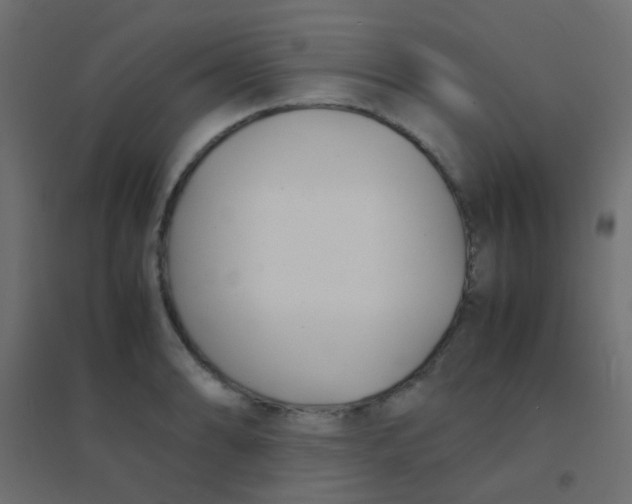 X0000094911086200712131447