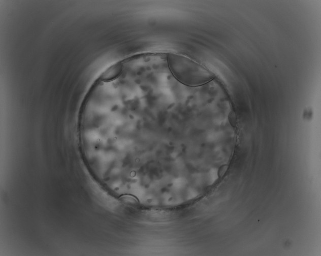 X0000094911087200712131447