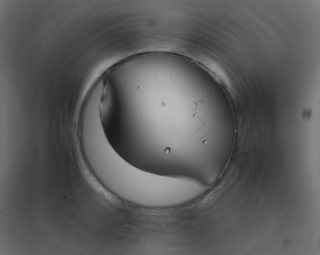 X0000094911088200712131447