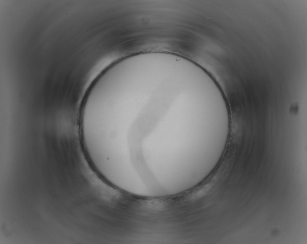 X0000094911090200712131447