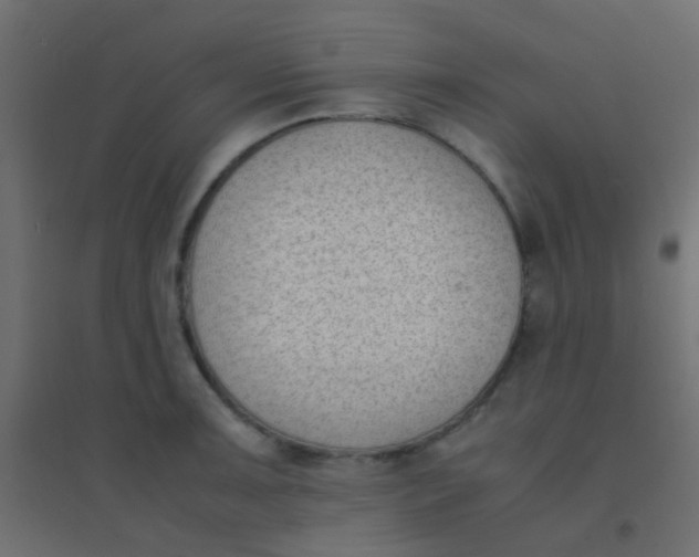 X0000094911091200712131447