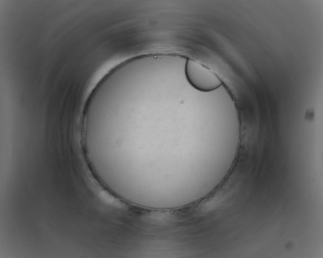X0000094911094200712131447