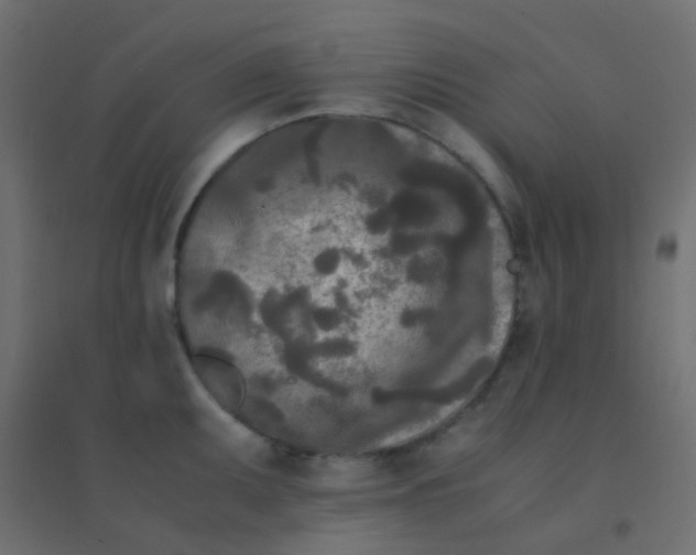 X0000094911095200712131447