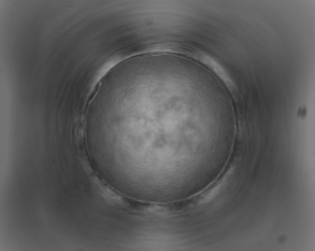 X0000094911097200712131447