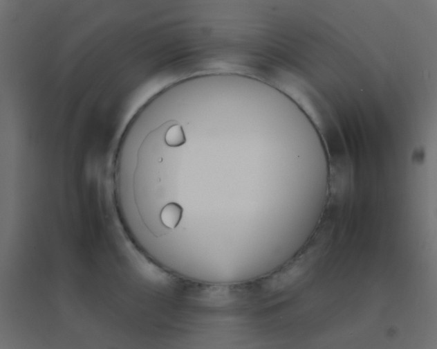 X0000094911098200712131447