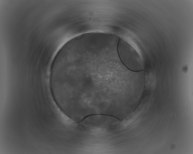 X0000094911099200712131447