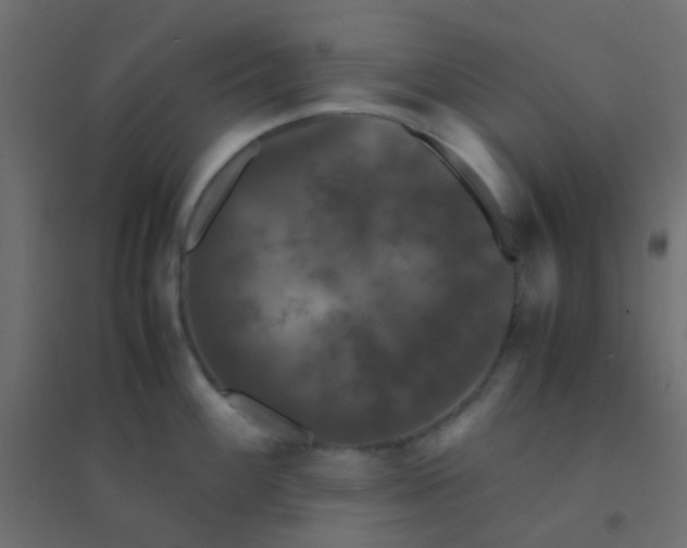 X0000094911100200712131447