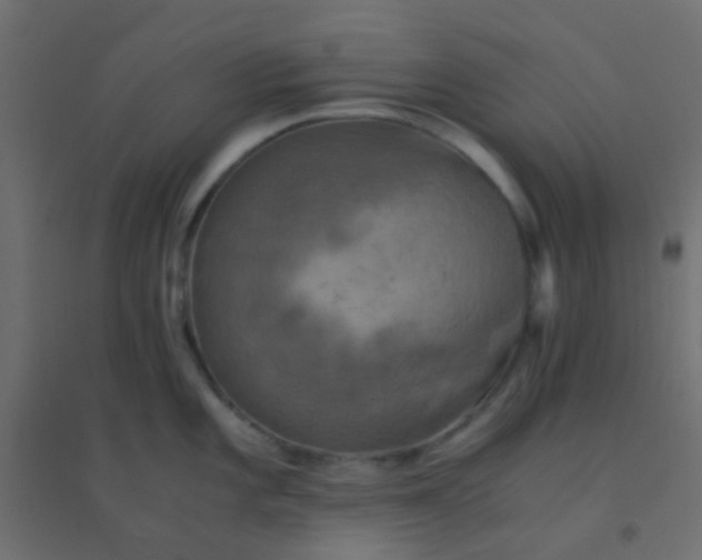 X0000094911101200712131447