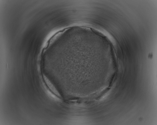 X0000094911102200712131447