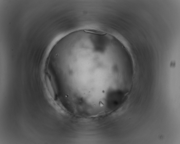X0000094911104200712131447
