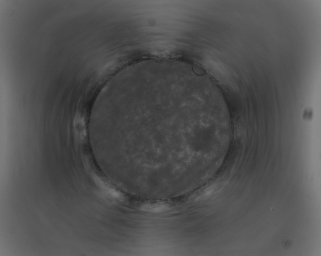 X0000094911106200712131446