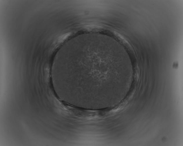 X0000094911108200712131446