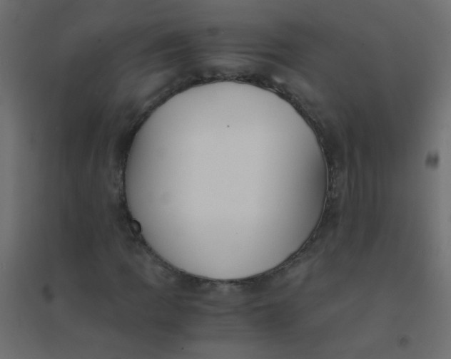 X0000094911109200712131446