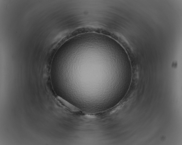 X0000094911110200712131446
