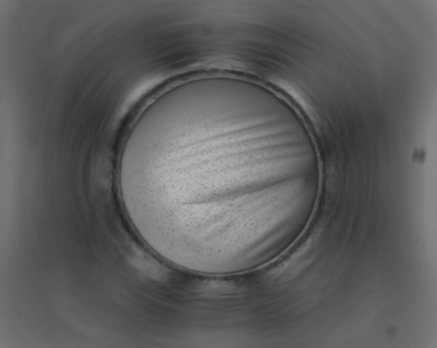 X0000094911115200712131446