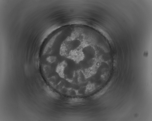 X0000094911117200712131446