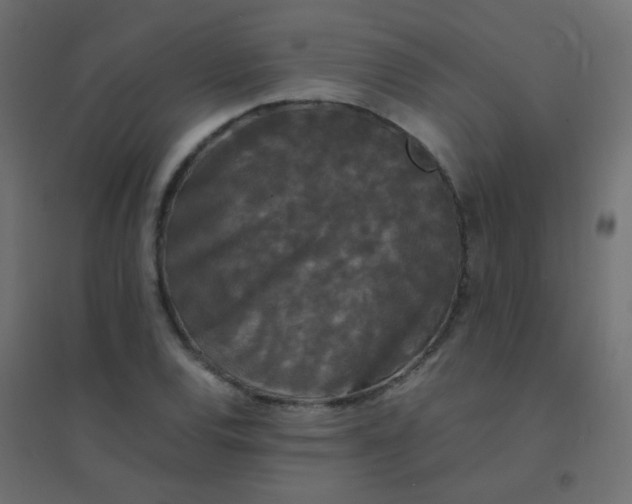 X0000094911120200712131446