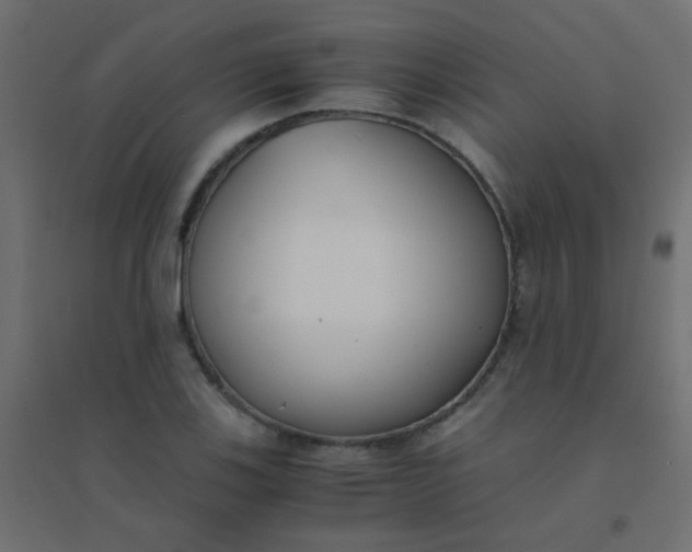 X0000094911123200712131447