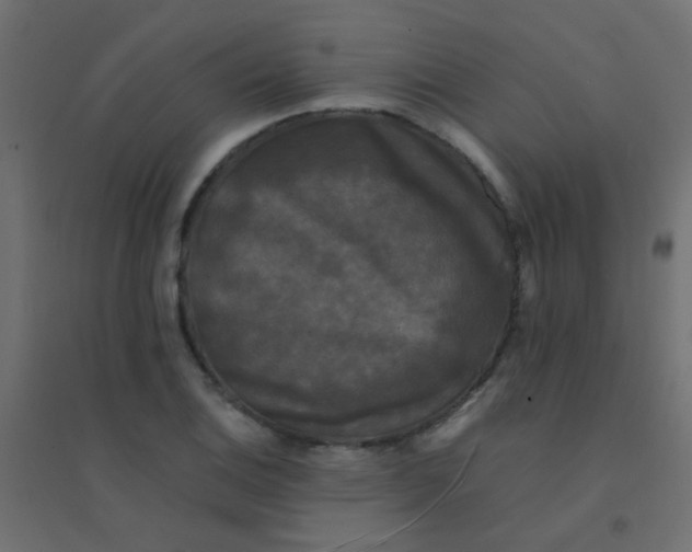 X0000094911124200712131447