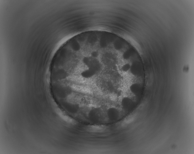 X0000094911125200712131447