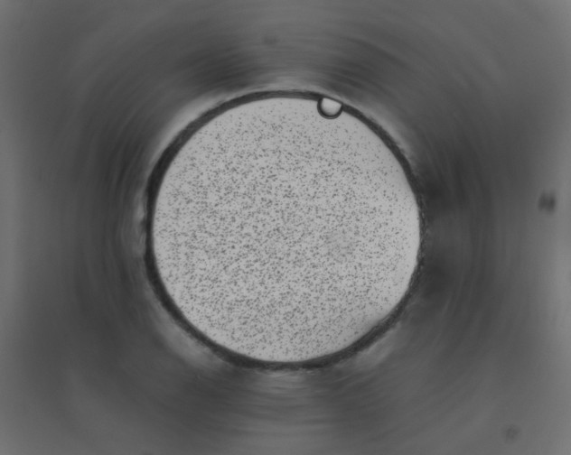 X0000094911126200712131447