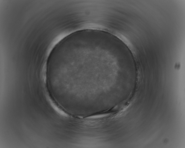 X0000094911128200712131447