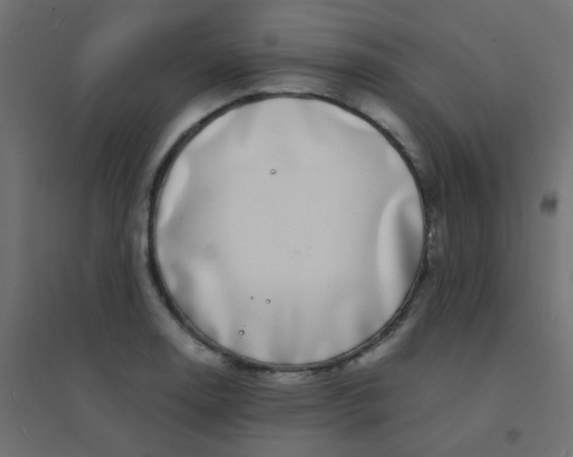 X0000094911130200712131447