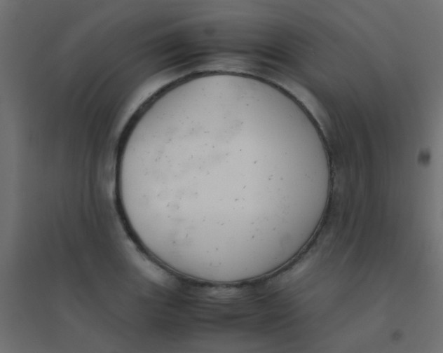 X0000094911131200712131447