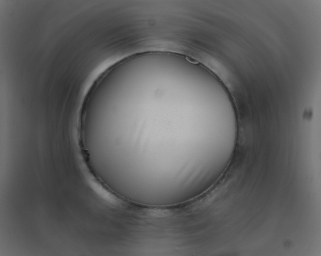 X0000094911136200712131447
