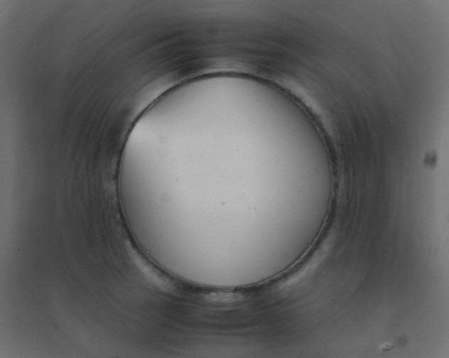 X0000094911137200712131447