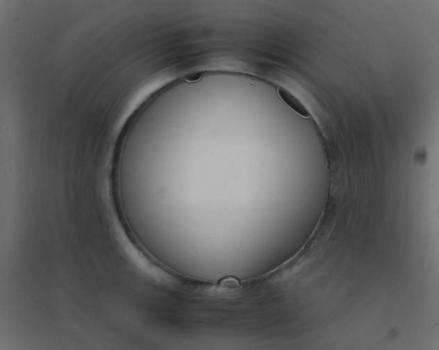 X0000094911139200712131447
