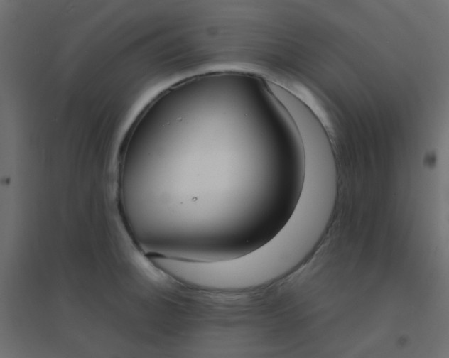 X0000094911140200712131447
