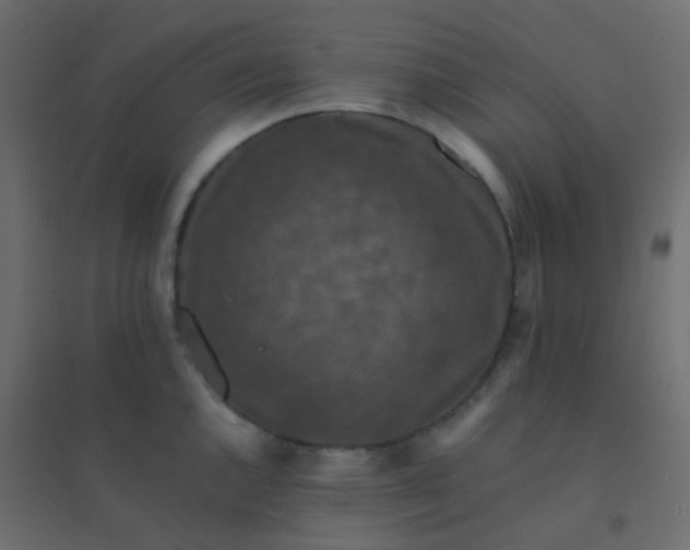 X0000094911144200712131447