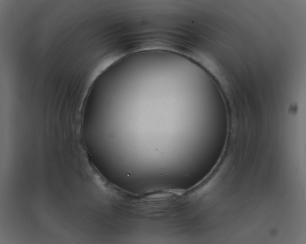 X0000094911145200712131447