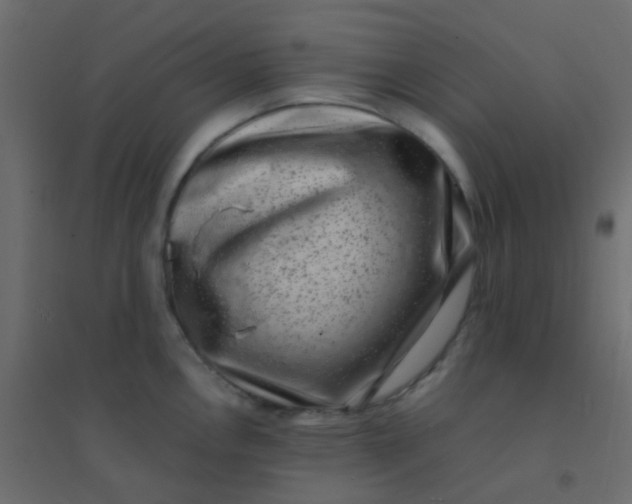 X0000094911146200712131447