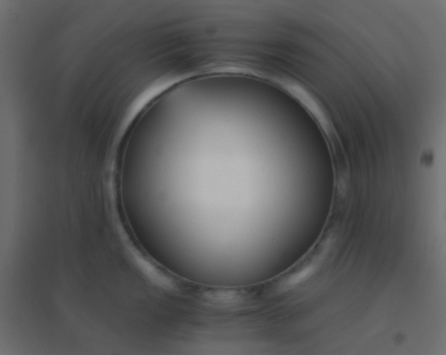 X0000094911149200712131447