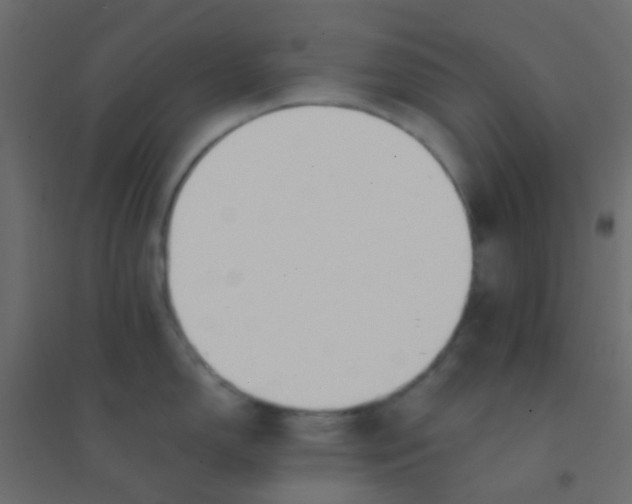 X0000094911150200712131447