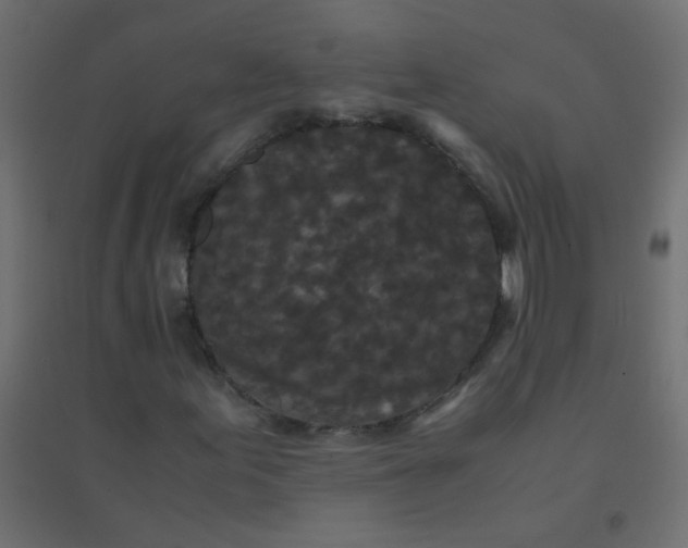 X0000094911155200712131446