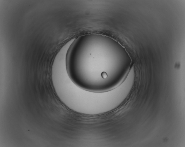 X0000094911156200712131446