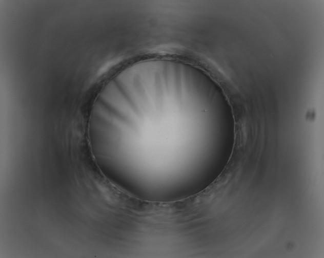 X0000094911158200712131446