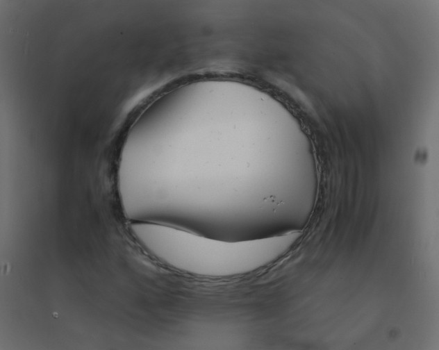 X0000094911160200712131446