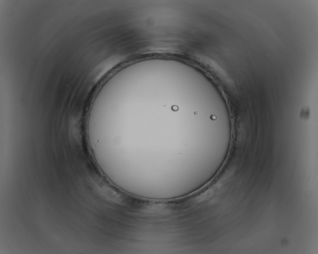 X0000094911162200712131446