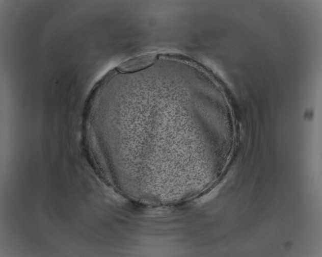 X0000094911165200712131446