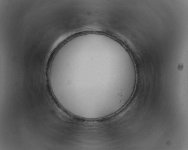 X0000094911168200712131446