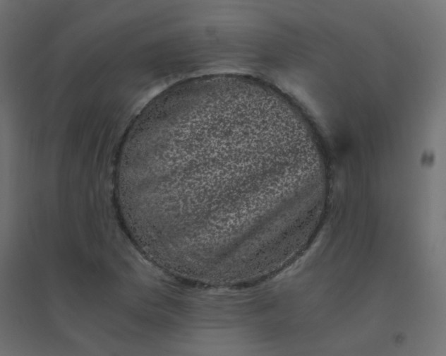 X0000094911169200712131446