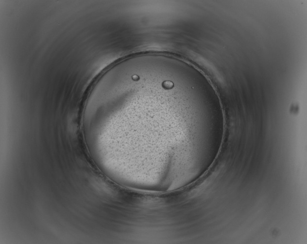 X0000094911170200712131446