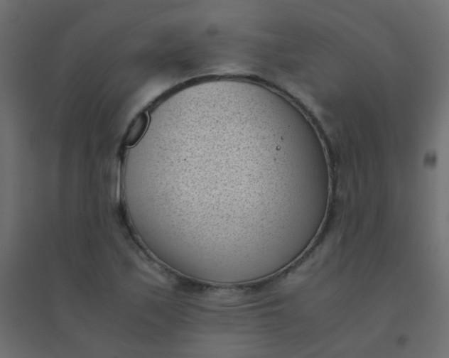 X0000094911171200712131446